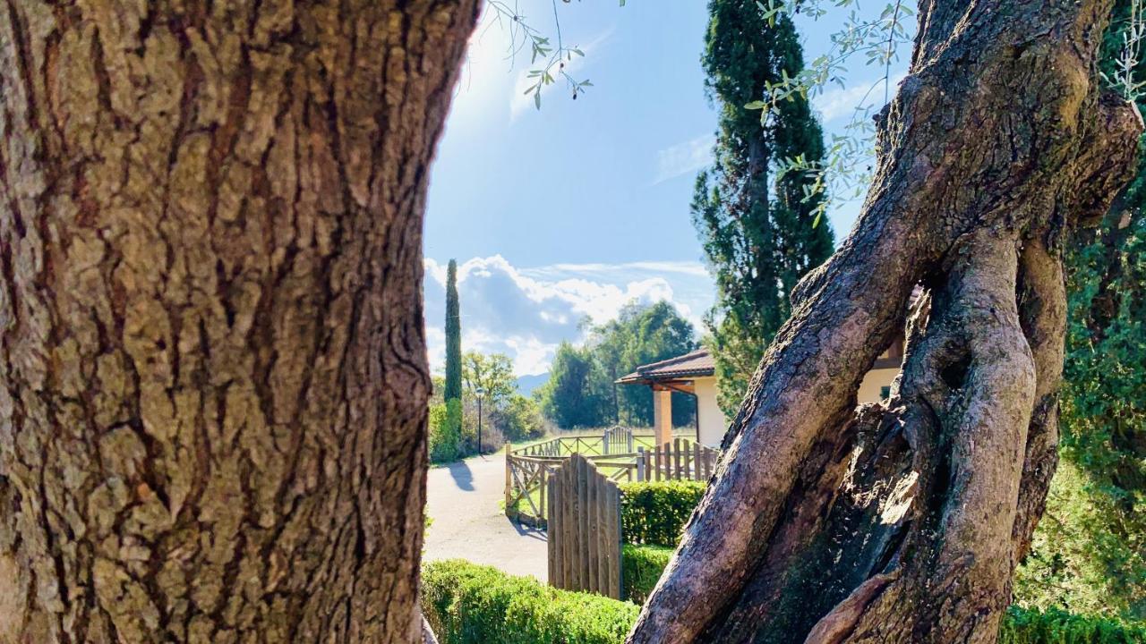 Casa In Maremma Tuscany Village Scarlino Eksteriør bilde